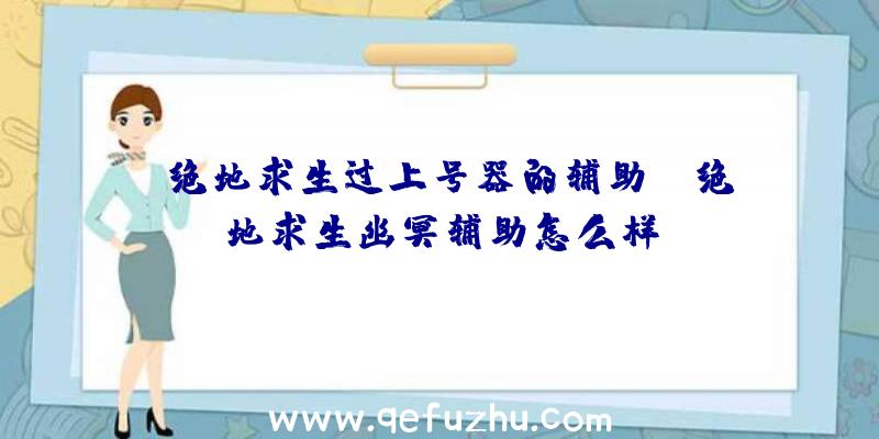 「绝地求生过上号器的辅助」|绝地求生幽冥辅助怎么样